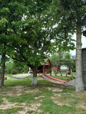Wczasy na Kaszubach u Hani in Wiele